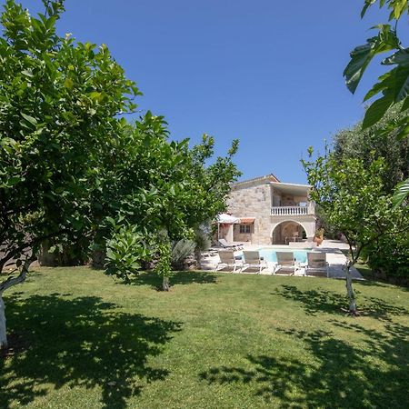 Ionian Garden Villas - Villa Pietra 贝尼蔡斯 外观 照片