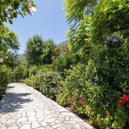 Ionian Garden Villas - Villa Pietra 贝尼蔡斯 外观 照片