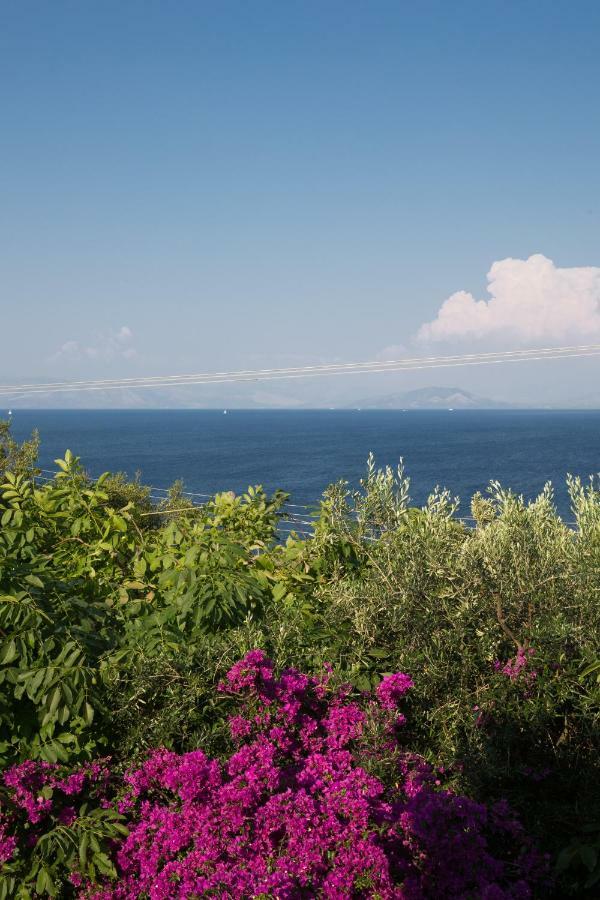 Ionian Garden Villas - Villa Pietra 贝尼蔡斯 外观 照片